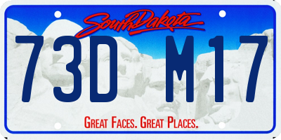 SD license plate 73DM17