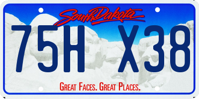 SD license plate 75HX38