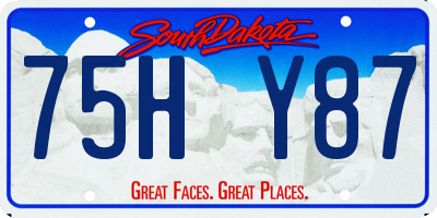 SD license plate 75HY87