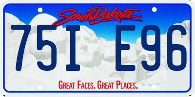 SD license plate 75IE96