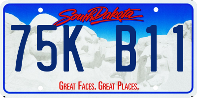 SD license plate 75KB11