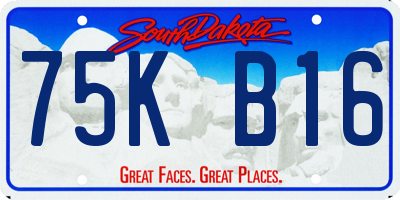 SD license plate 75KB16