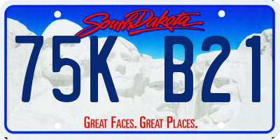 SD license plate 75KB21