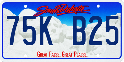SD license plate 75KB25