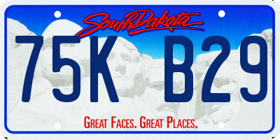 SD license plate 75KB29