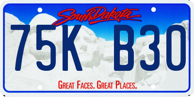 SD license plate 75KB30