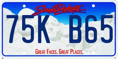 SD license plate 75KB65