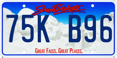 SD license plate 75KB96