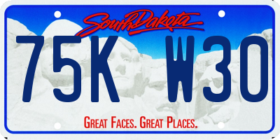 SD license plate 75KW30