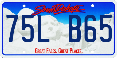 SD license plate 75LB65
