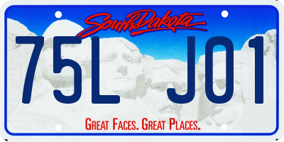 SD license plate 75LJ01