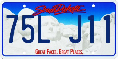 SD license plate 75LJ11