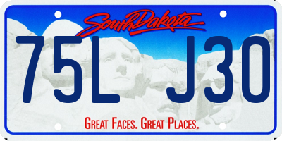 SD license plate 75LJ30