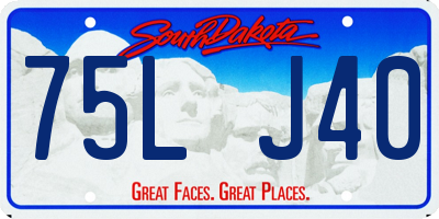 SD license plate 75LJ40