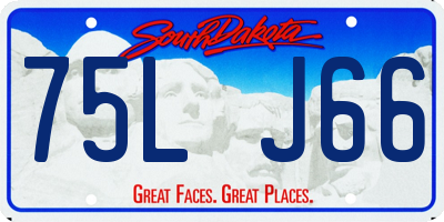 SD license plate 75LJ66