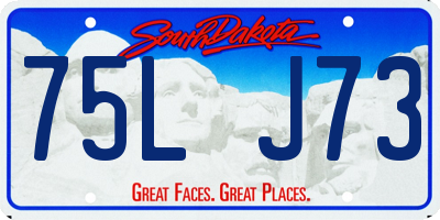 SD license plate 75LJ73