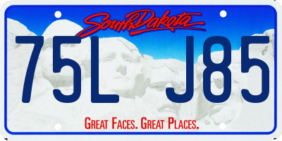 SD license plate 75LJ85