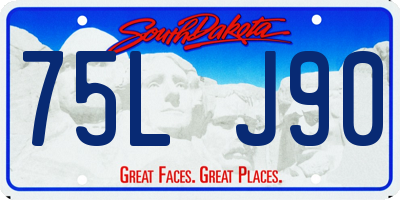 SD license plate 75LJ90