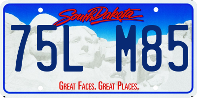 SD license plate 75LM85