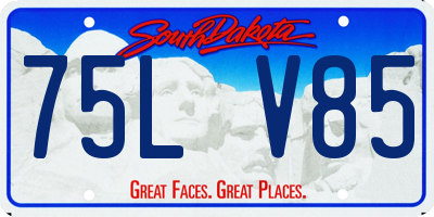 SD license plate 75LV85