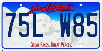 SD license plate 75LW85