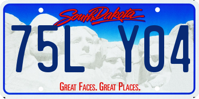 SD license plate 75LY04