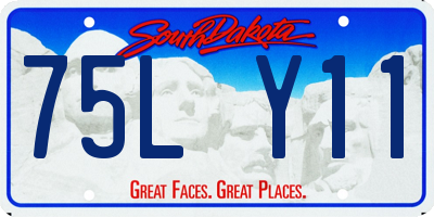 SD license plate 75LY11