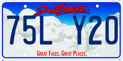 SD license plate 75LY20