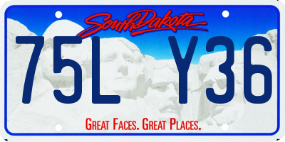 SD license plate 75LY36
