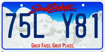 SD license plate 75LY81
