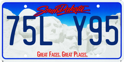 SD license plate 75LY95