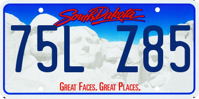 SD license plate 75LZ85