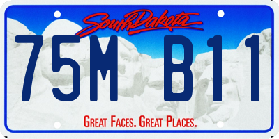 SD license plate 75MB11