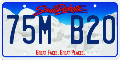 SD license plate 75MB20