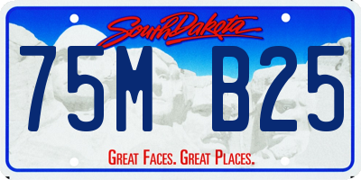 SD license plate 75MB25