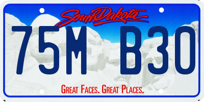 SD license plate 75MB30