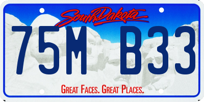 SD license plate 75MB33