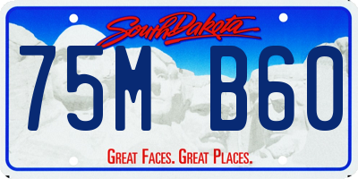 SD license plate 75MB60