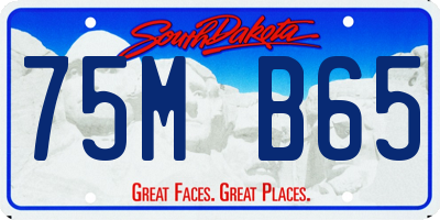 SD license plate 75MB65