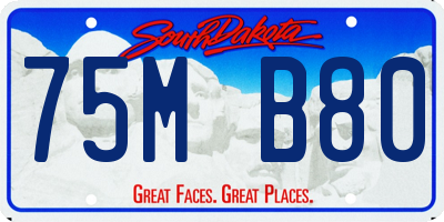 SD license plate 75MB80