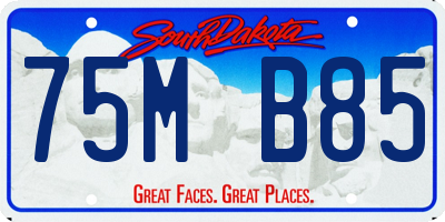 SD license plate 75MB85