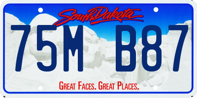 SD license plate 75MB87