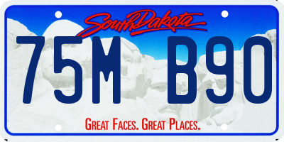 SD license plate 75MB90
