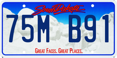 SD license plate 75MB91
