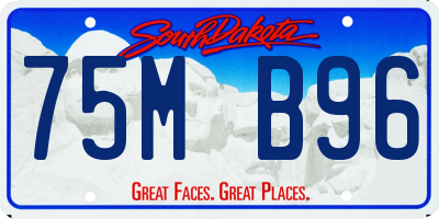 SD license plate 75MB96
