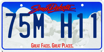 SD license plate 75MH11