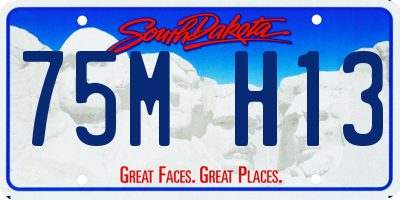 SD license plate 75MH13