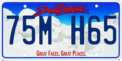 SD license plate 75MH65