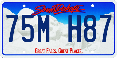 SD license plate 75MH87