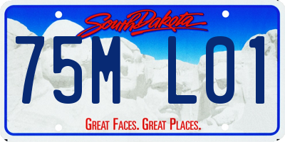 SD license plate 75ML01